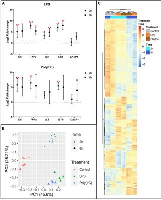 Changes in H3K27ac at Gene Regulatory Regions in Porcine Alveolar Macrophages Following LPS or PolyIC Exposure